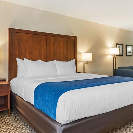 Comfort Inn & Suites Near Route 66 Lincoln Quarto foto