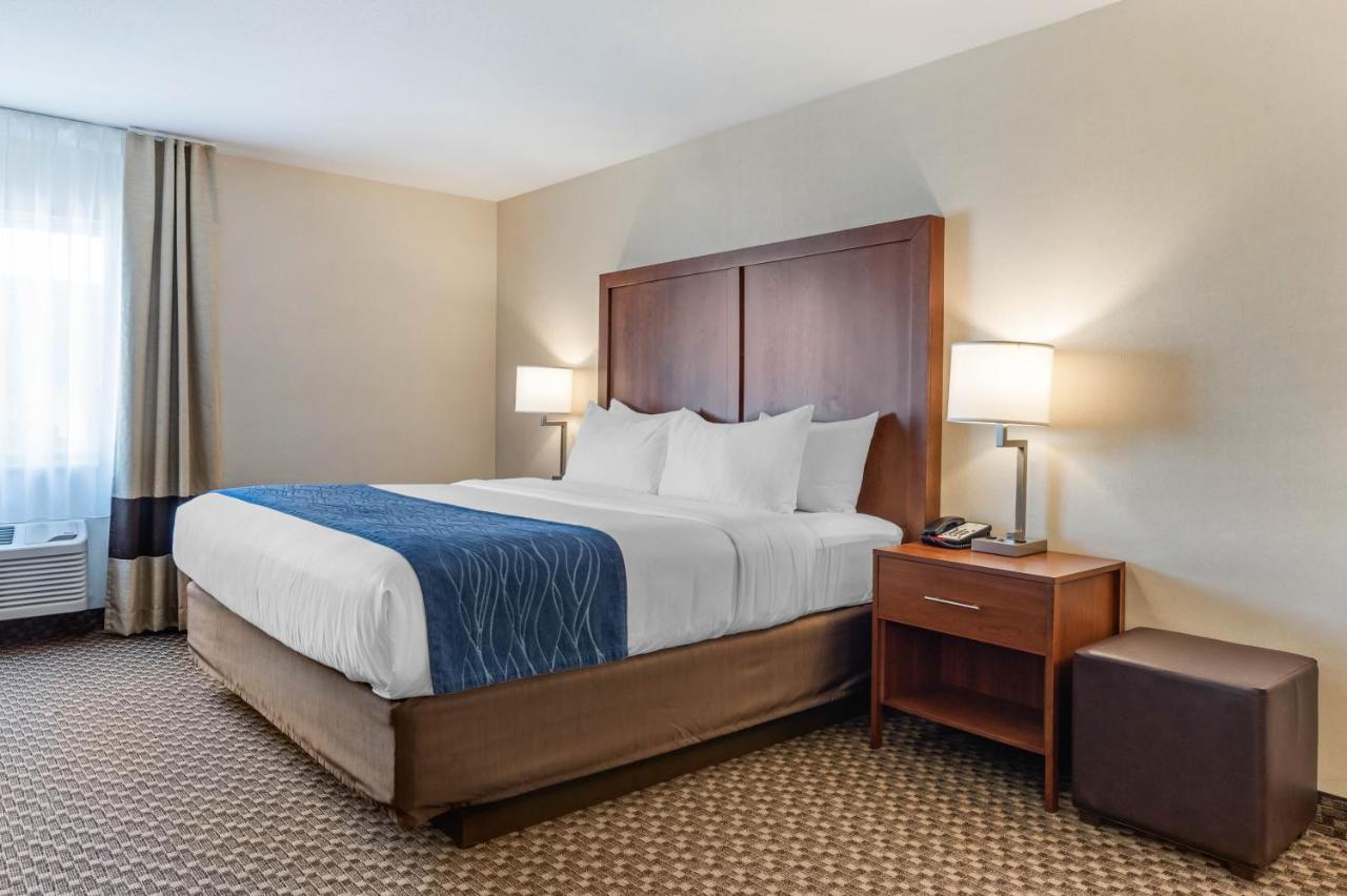 Comfort Inn & Suites Near Route 66 Award Winning Gold Hotel 2021 Lincoln Quarto foto