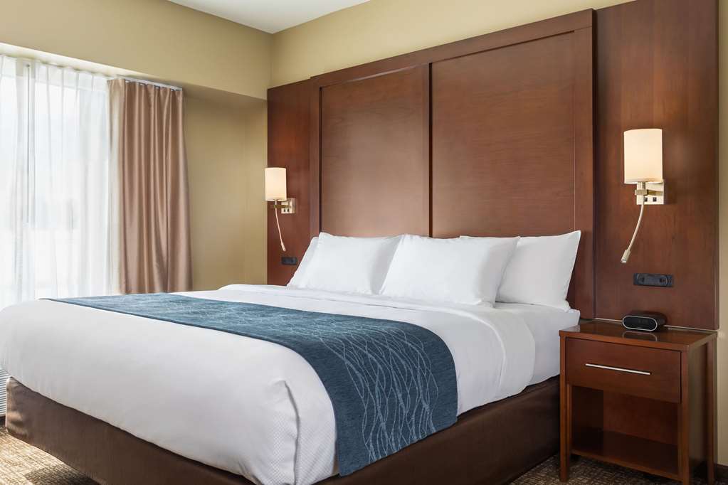 Comfort Inn & Suites Near Route 66 Award Winning Gold Hotel 2021 Lincoln Quarto foto